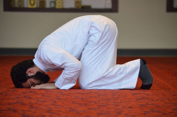 Sujud
